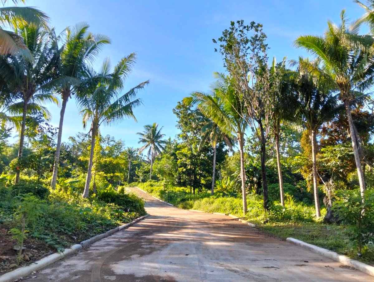 Lot for sale 500 sqm in Cavite near Tagaytay area