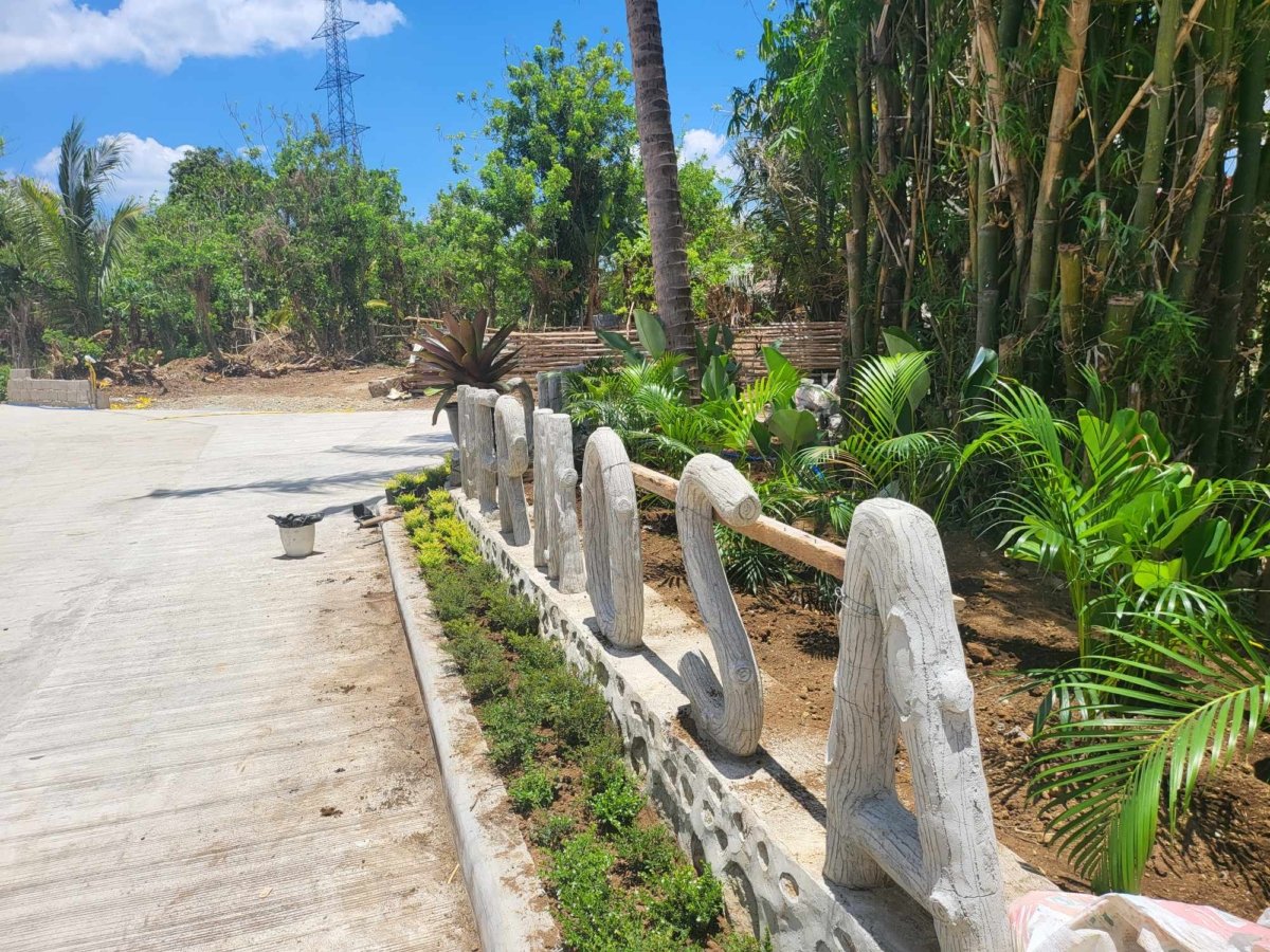 244 SQM RESIDENTIAL FARM IN CAVITE FRUITS BEARING