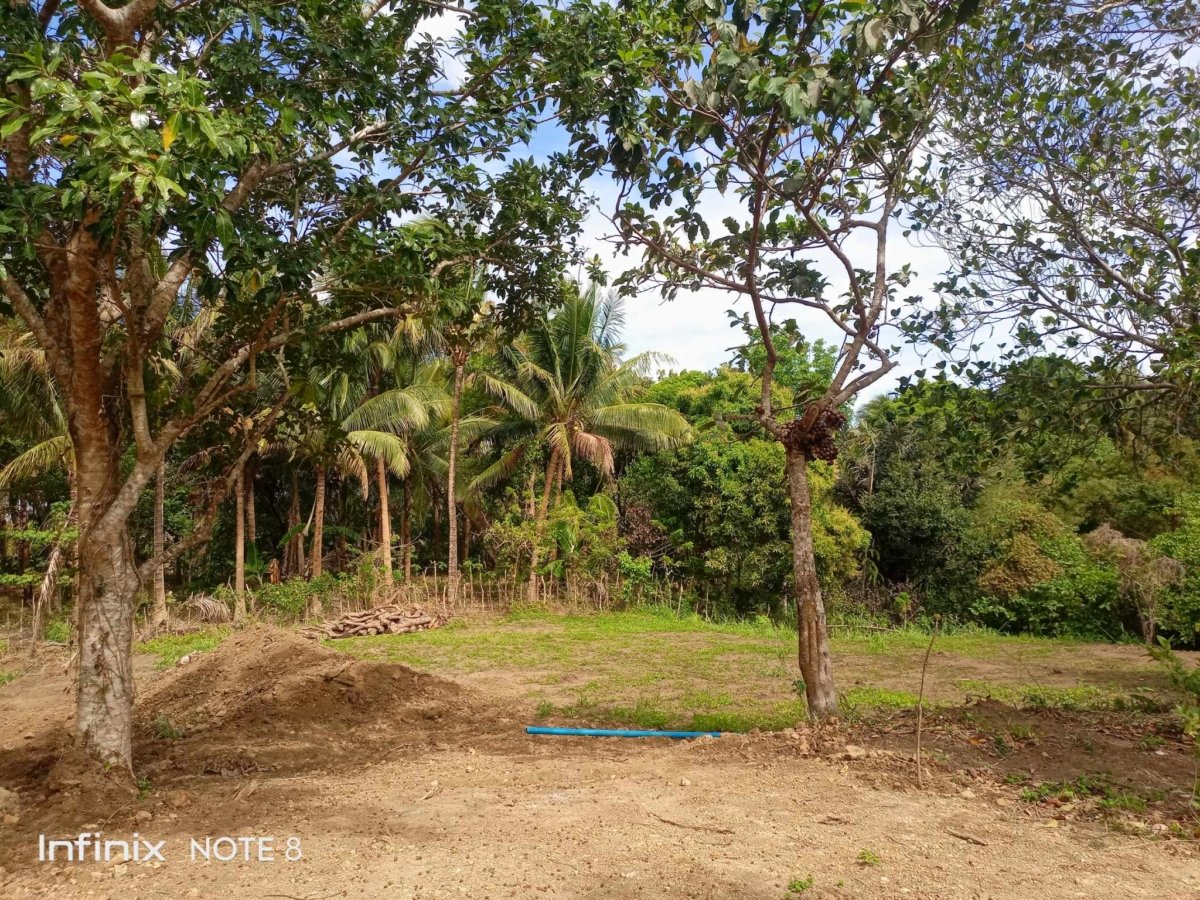 Finca Hermosa a Residential Farm lot in Cavite with fertile soil