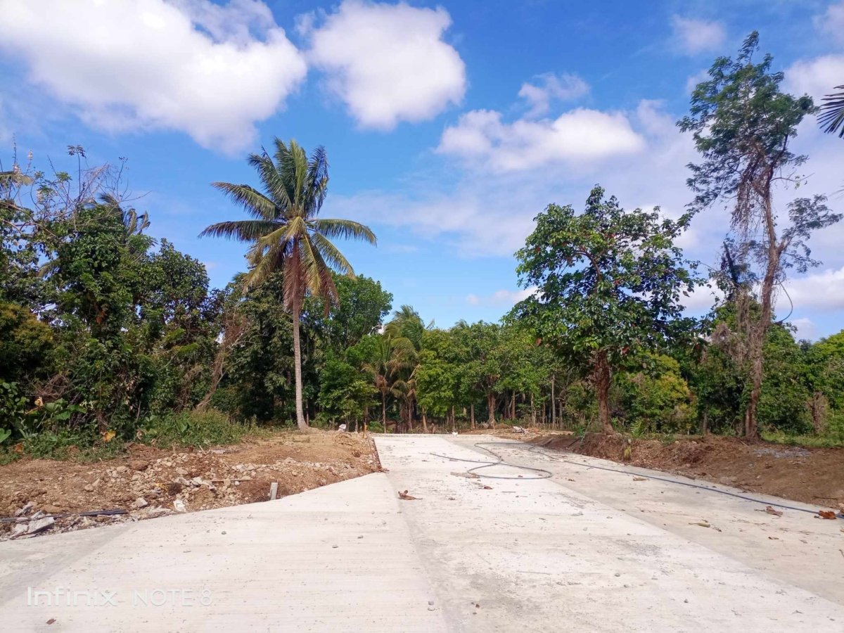 500 sqm with Fruits bearing Farmlot for sale near Tagaytay