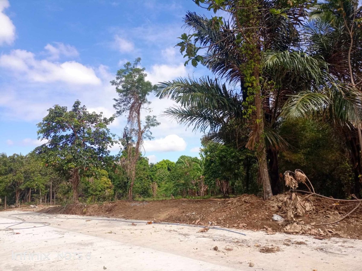 Finca Hermosa a Residential Farm lot in Cavite with fertile soil