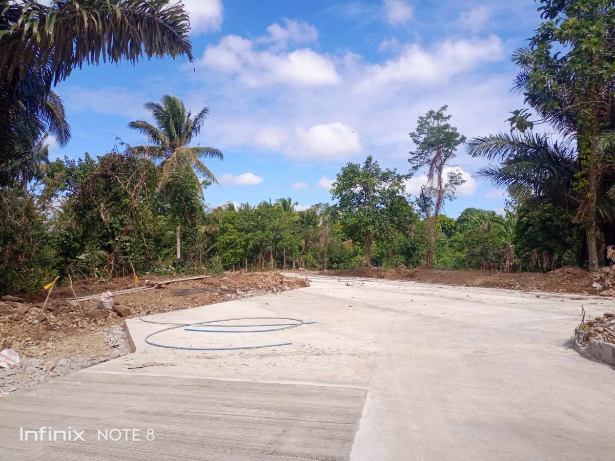 Finca Hermosa a Residential Farm lot in Cavite with fertile soil