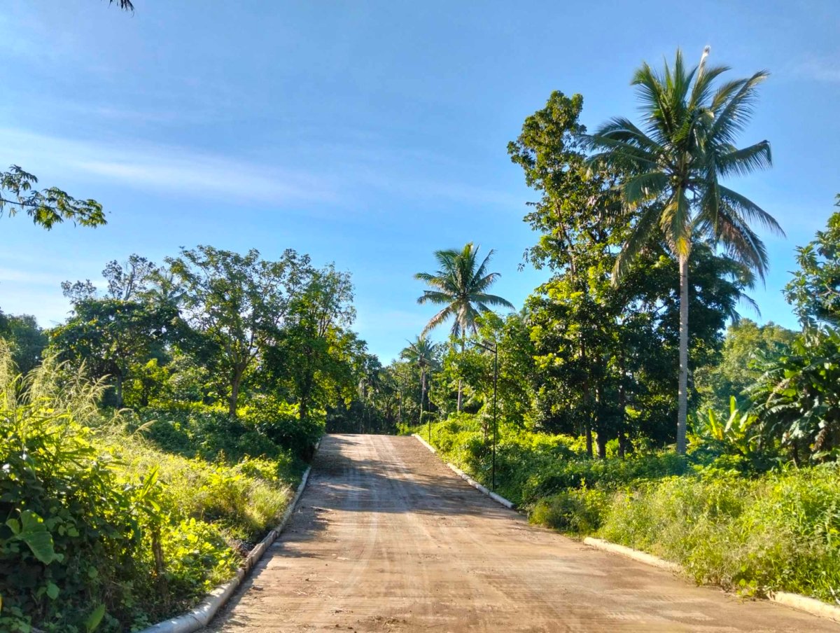244 sqm Farmlot for sale with cold weather and with fertile soil near Tagaytay