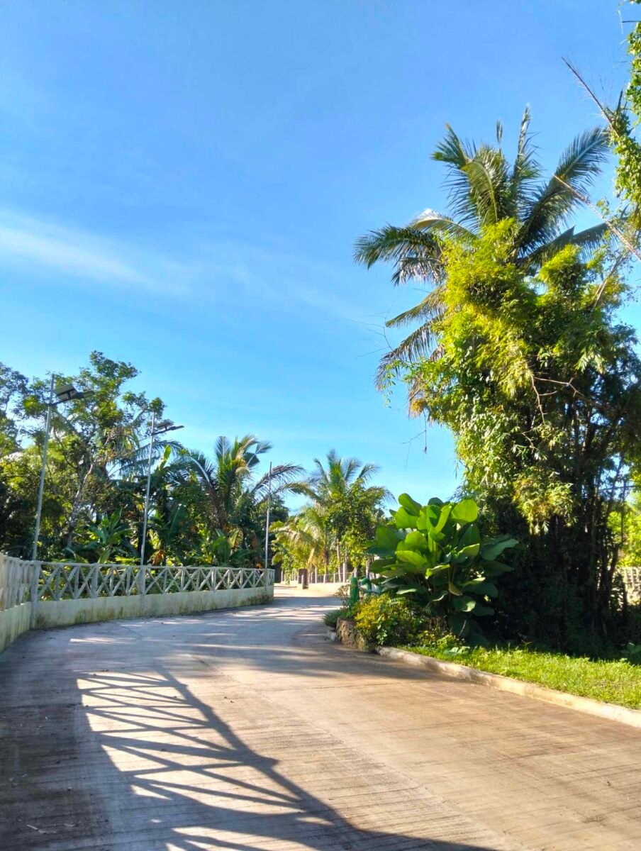 FH 3.3 – Copy – Copy – Copy – Copy (3)