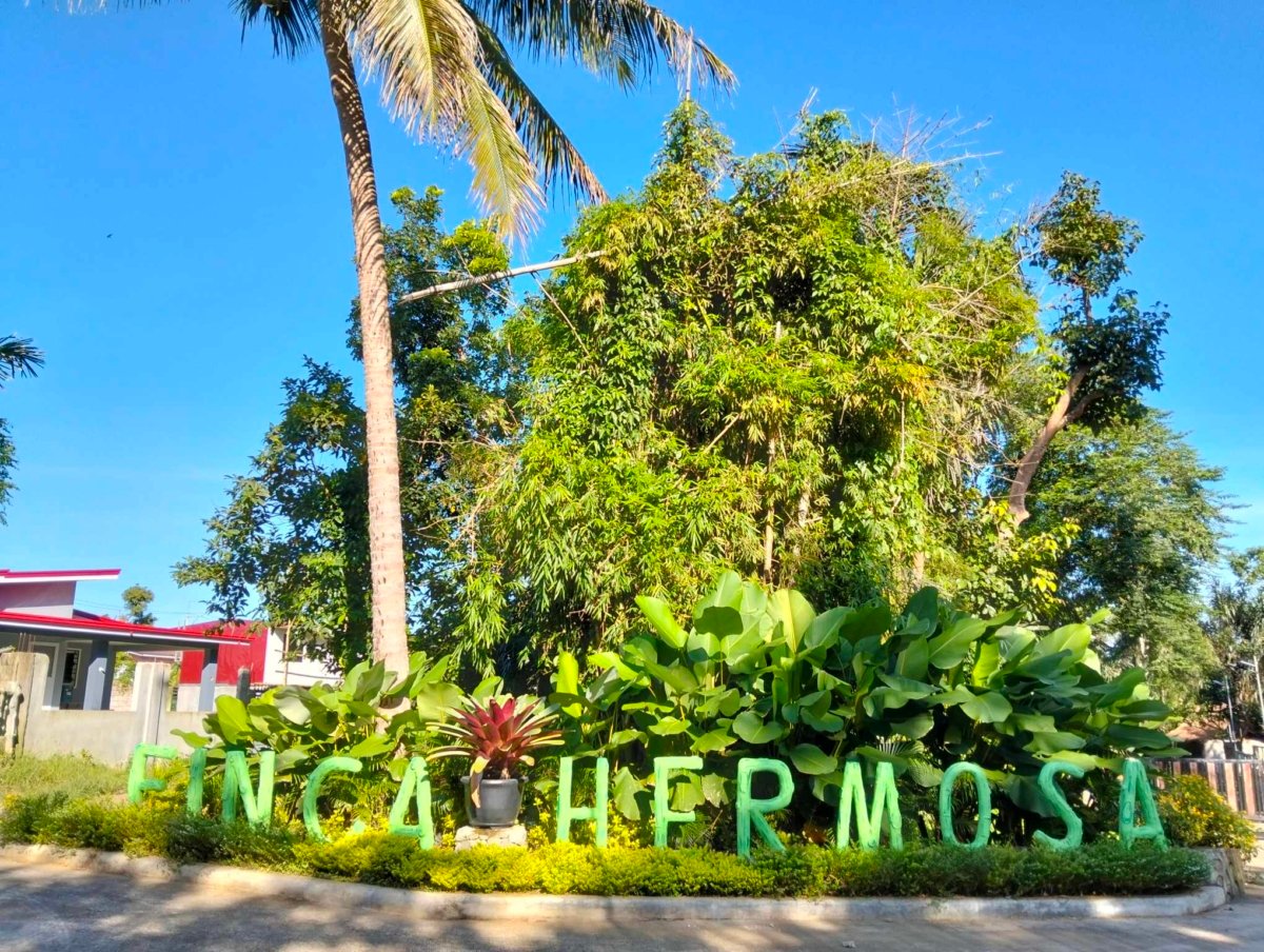 Lot for sale 500 sqm in Cavite near Tagaytay area