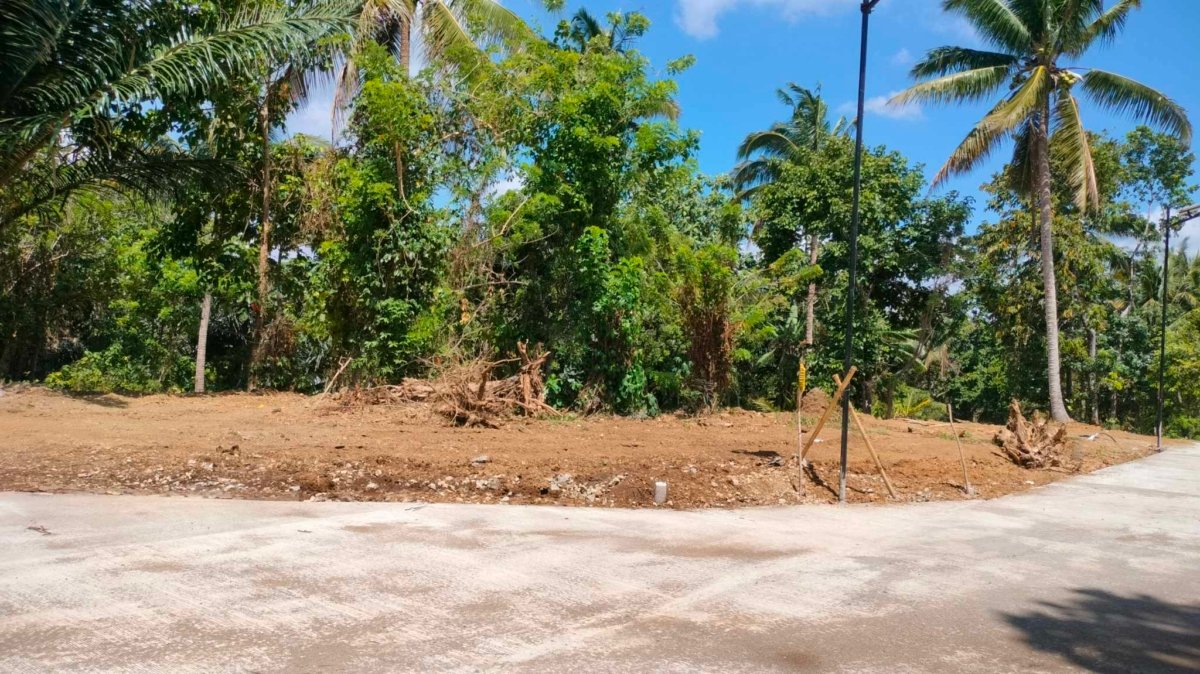 244 sqm Farmlot for sale with cold weather and with fertile soil near Tagaytay