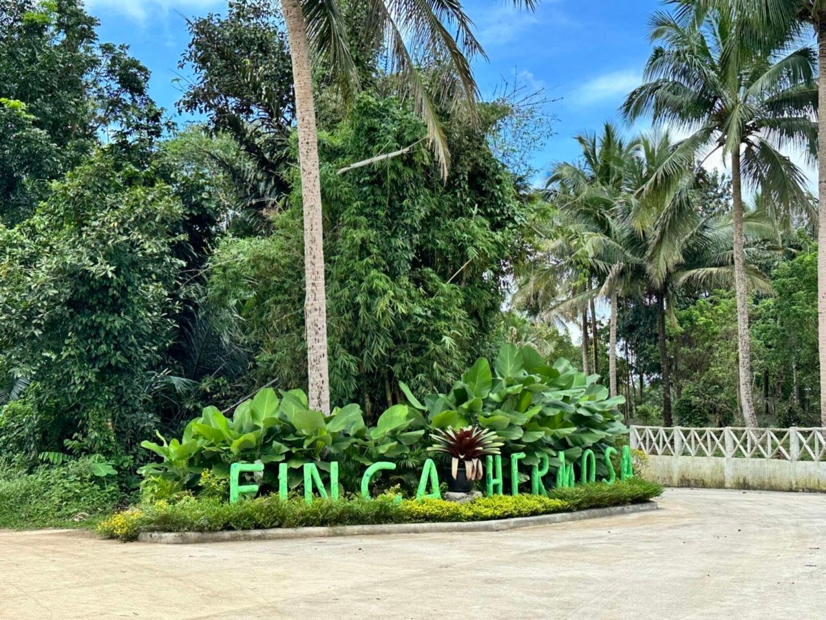 244 sqm Farmlot for sale with cold weather and with fertile soil near Tagaytay
