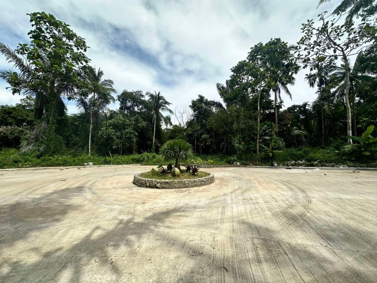 244 SQM RESIDENTIAL FARM IN CAVITE FRUITS BEARING