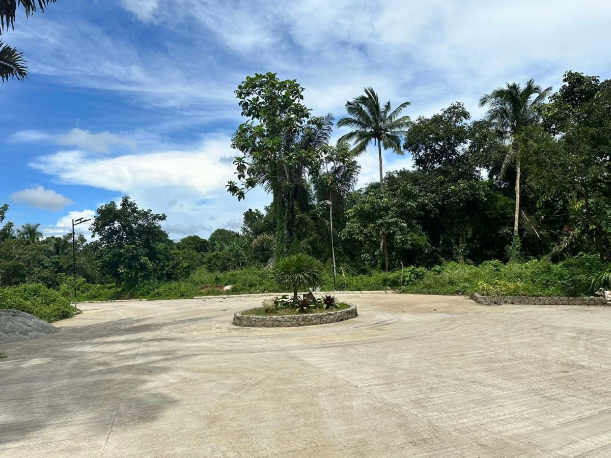 For sale 244 sqm Residential Farmlot near Cavite for sale