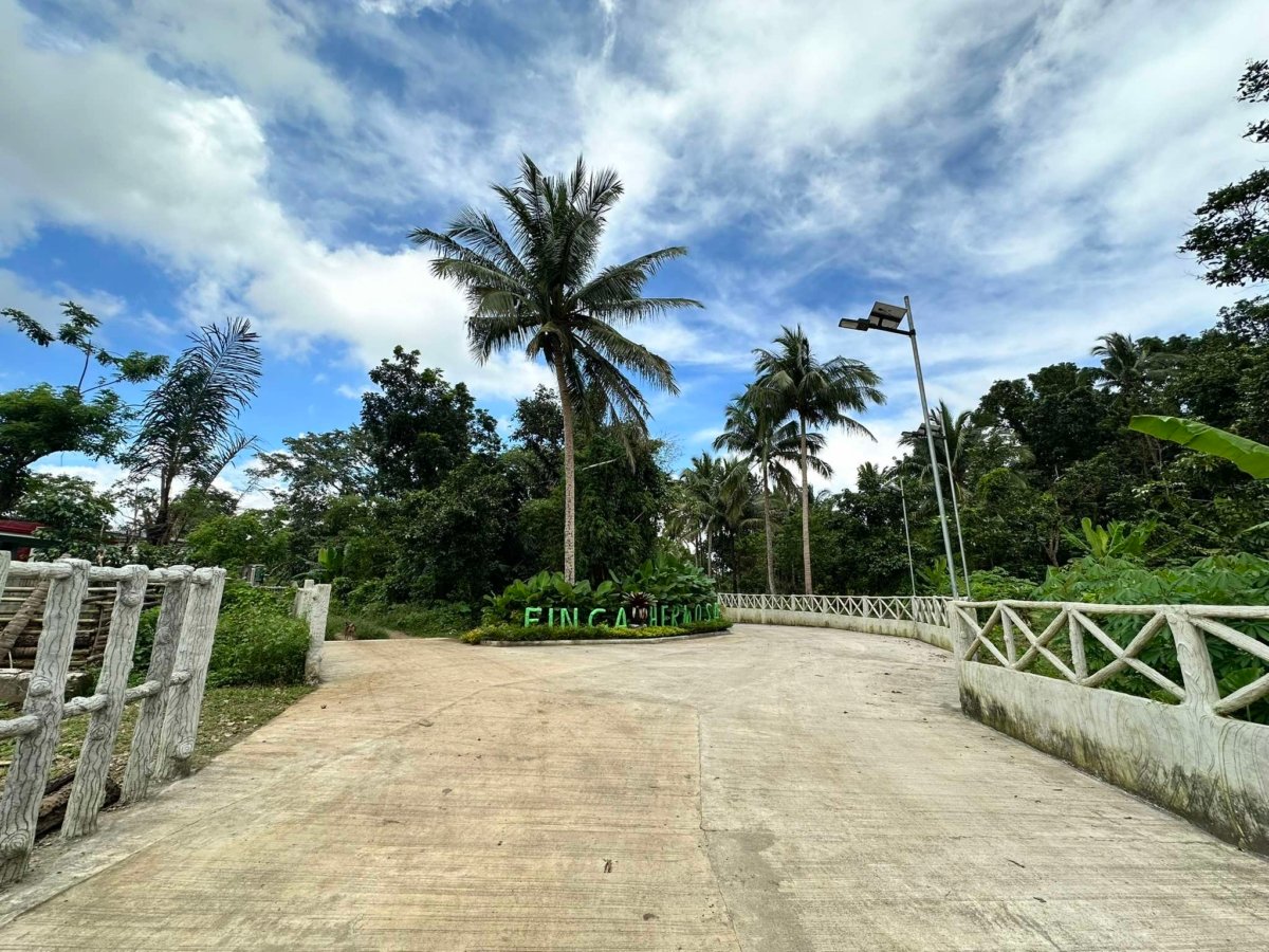 244 sqm Farmlot for sale with cold weather and with fertile soil near Tagaytay