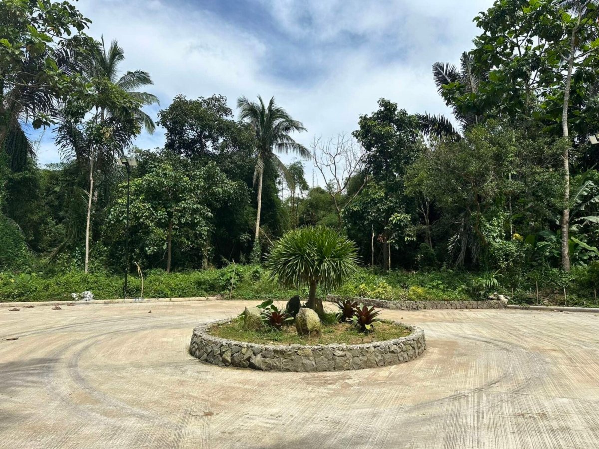 For sale 244 sqm Residential Farmlot near Cavite for sale