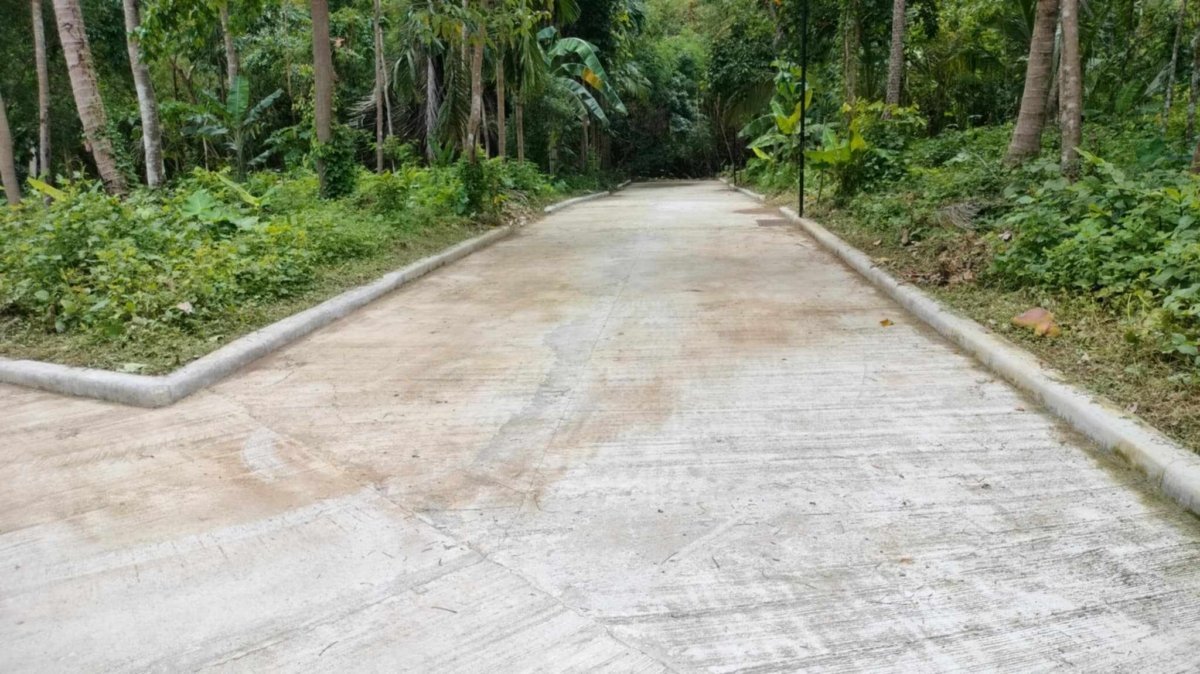 Residential Farm lot 506 sqm with ideal location for sale near Tagaytay