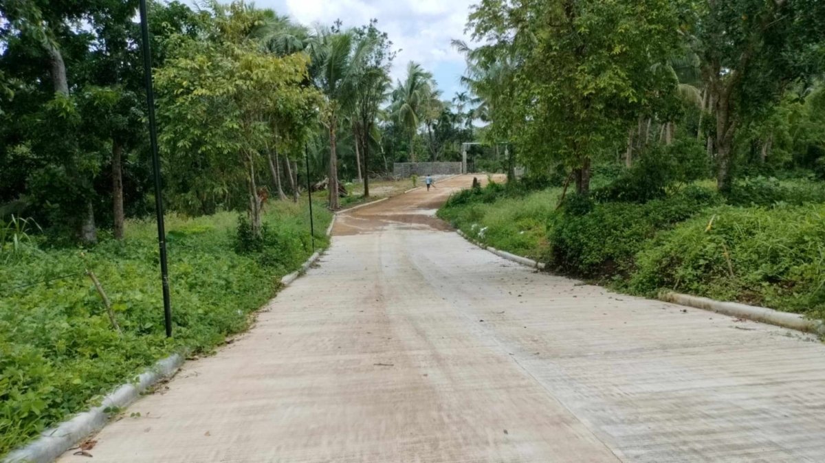Residential Farm lot 506 sqm with ideal location for sale near Tagaytay