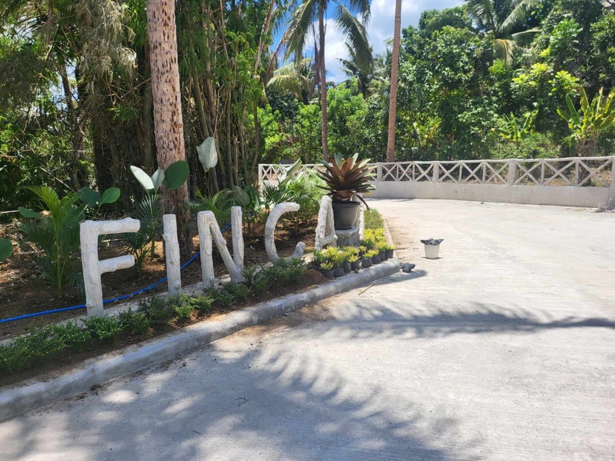 244 SQM RESIDENTIAL FARM IN CAVITE FRUITS BEARING