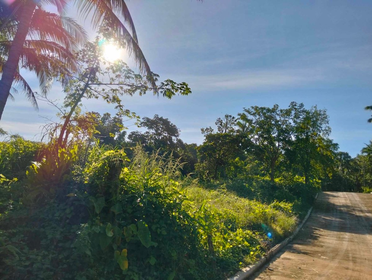 Finca Hermosa a Residential Farm lot in Cavite with fertile soil
