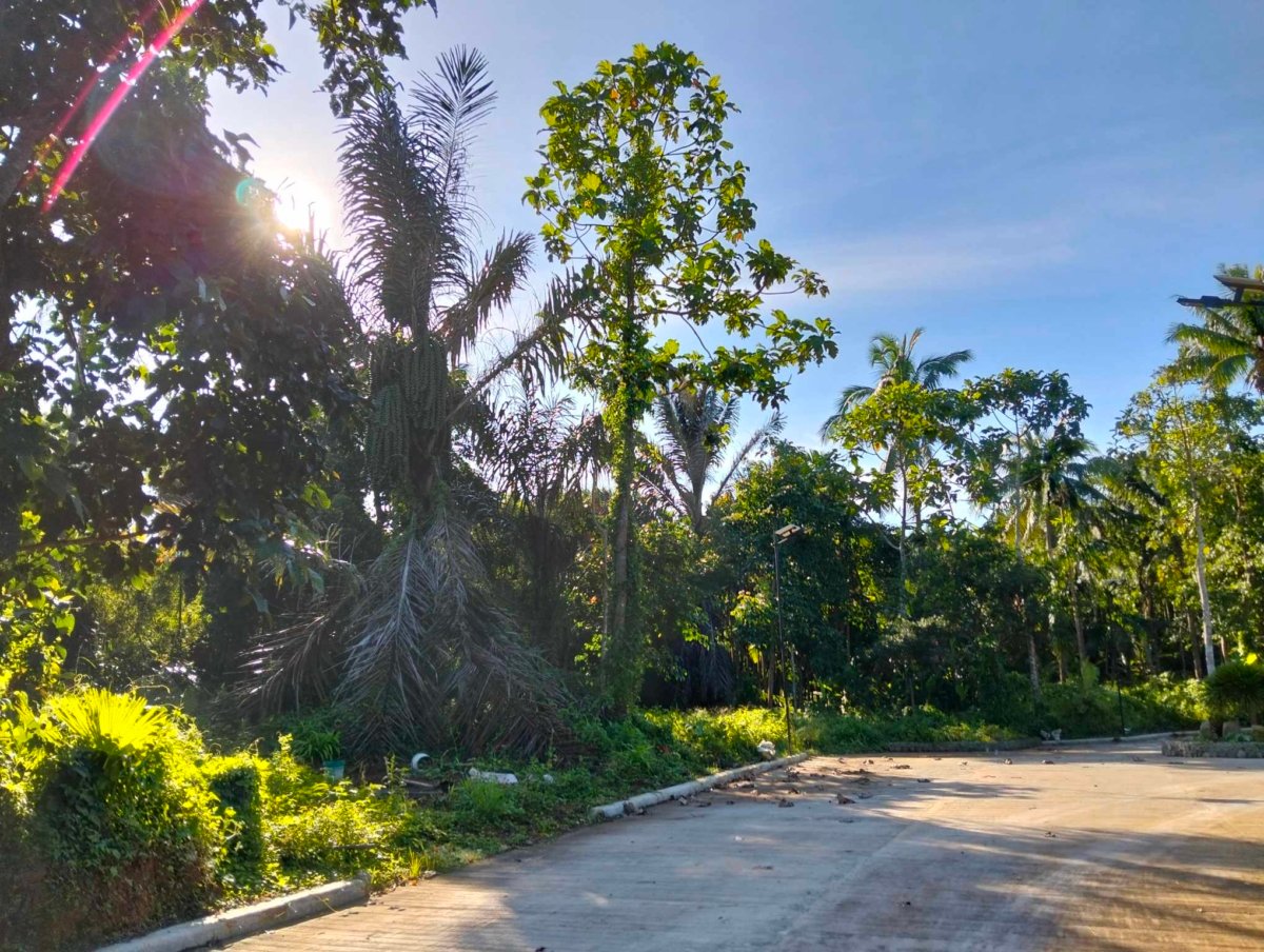 500 sqm with Fruits bearing Farmlot for sale near Tagaytay