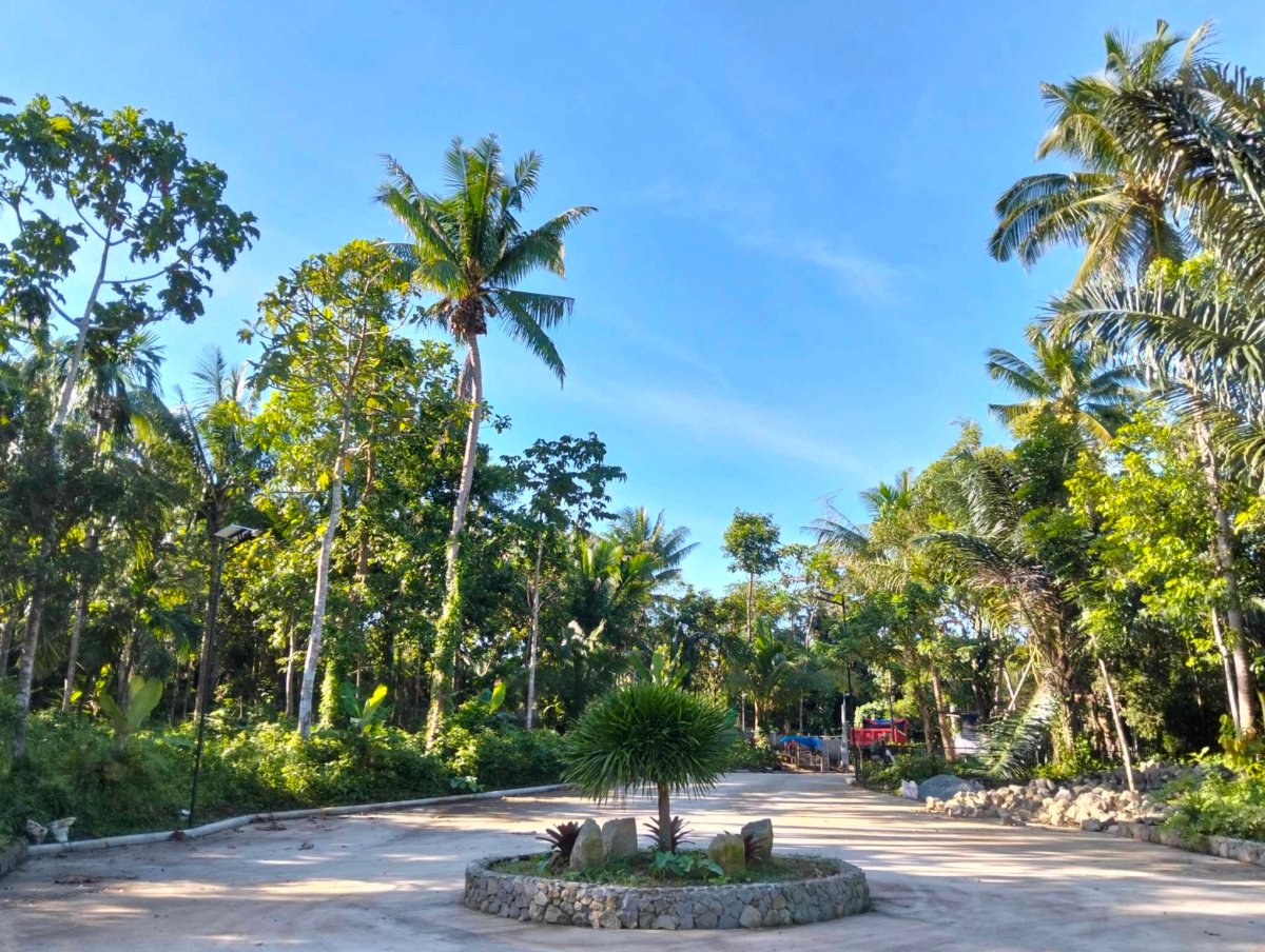 500 sqm with Fruits bearing Farmlot for sale near Tagaytay