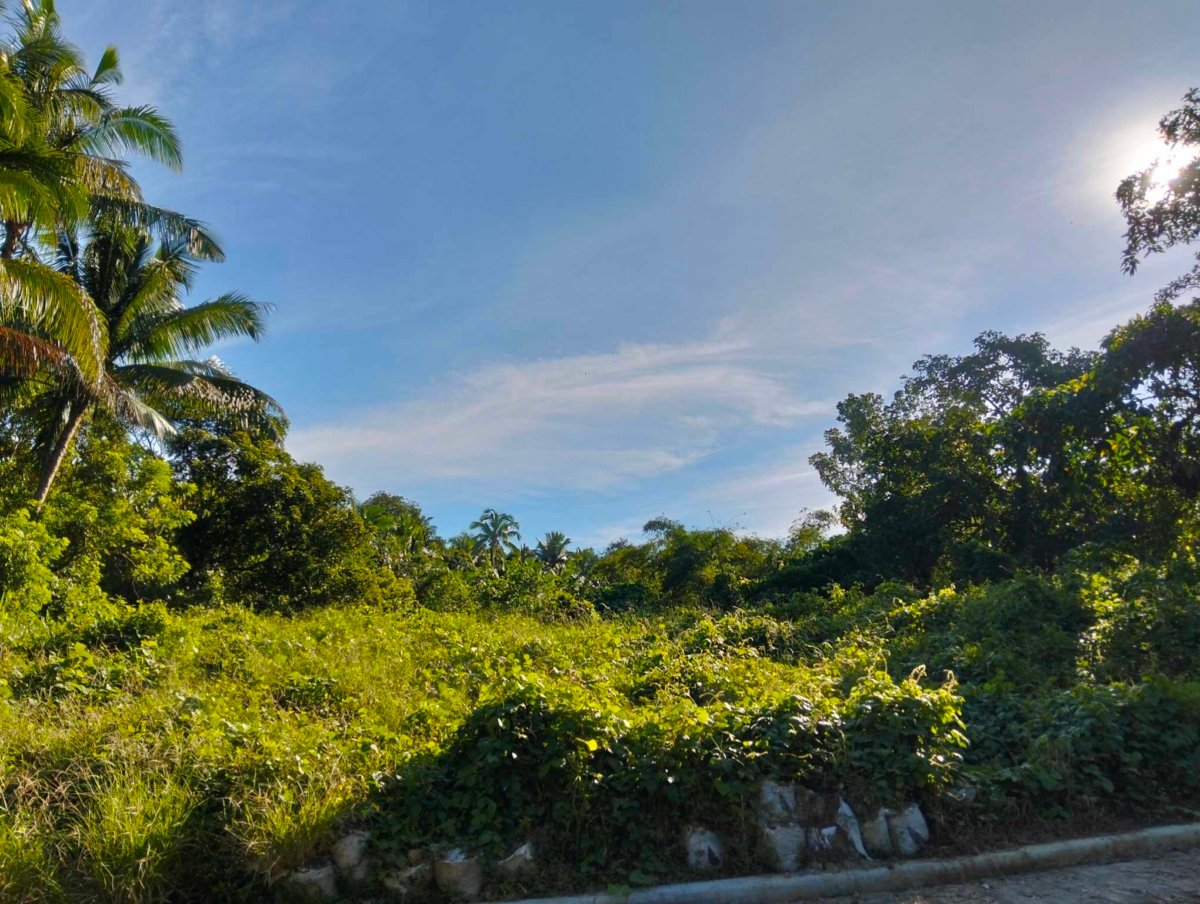 500 sqm with Fruits bearing Farmlot for sale near Tagaytay