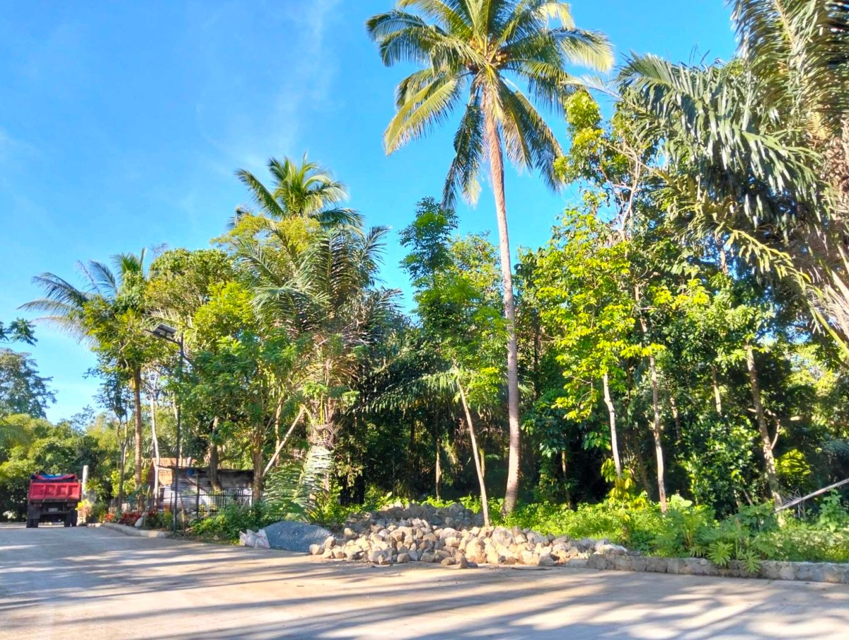 Finca Hermosa a Residential Farm lot in Cavite with fertile soil