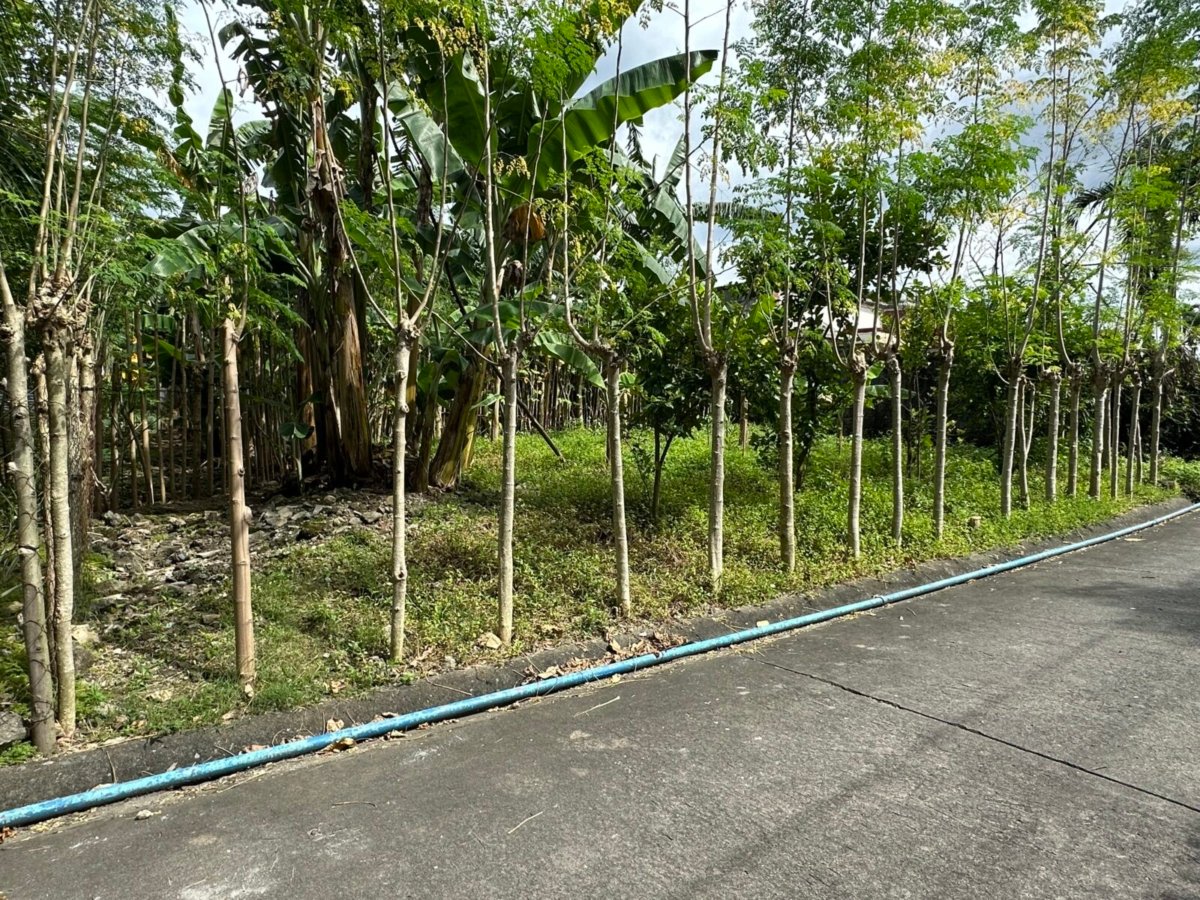 IMG_0631 Deparo, Caloocan BF Homes Phase 3