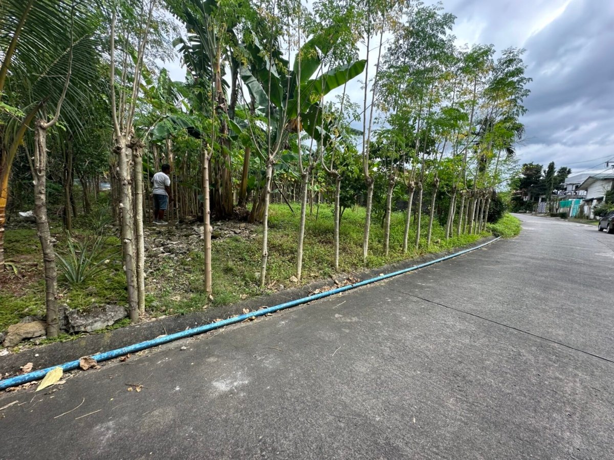 IMG_0639 Deparo, Caloocan BF Homes Phase 3