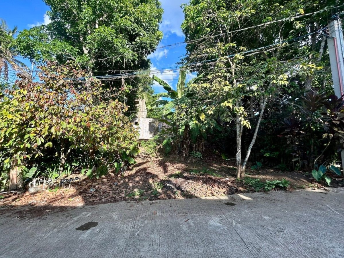 Lot for Sale (2198sqm) -Silang Cavite