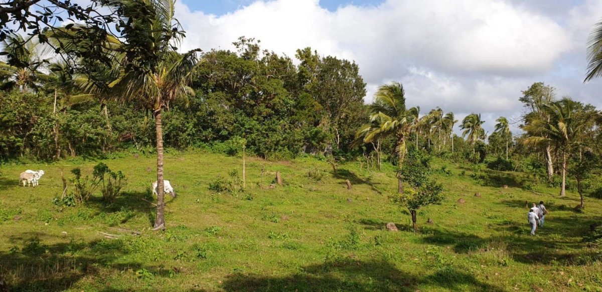 1000 sqm,Residential Farmlot for sale near Splendido