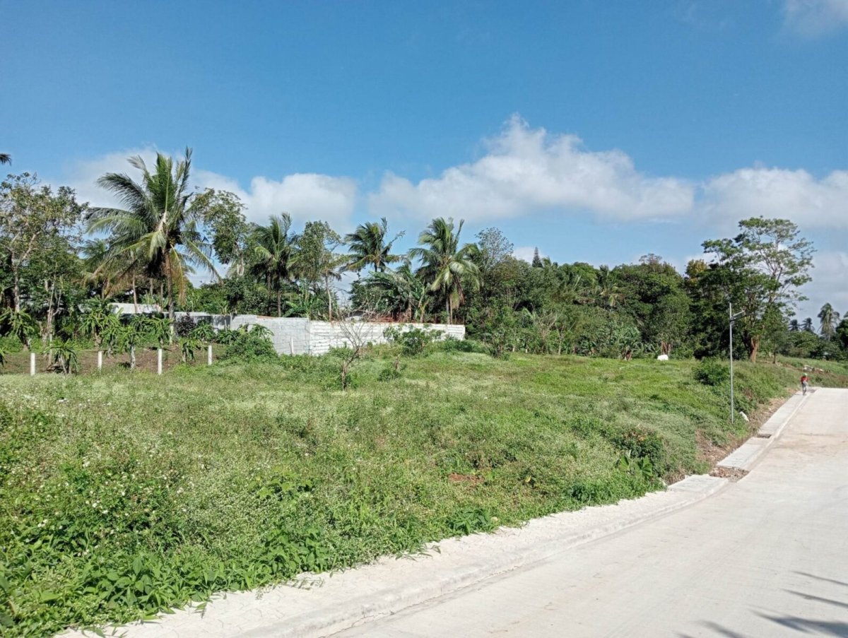 1000 sqm,Residential Farmlot for sale near Splendido