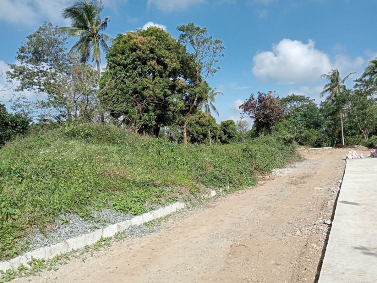 LUKSUHIN FARM IN CAVITE FOR RESIDENTIAL ONLY