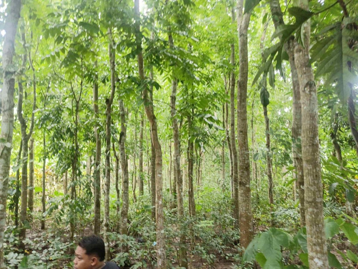 Lot for Sale (2198sqm) -Silang Cavite