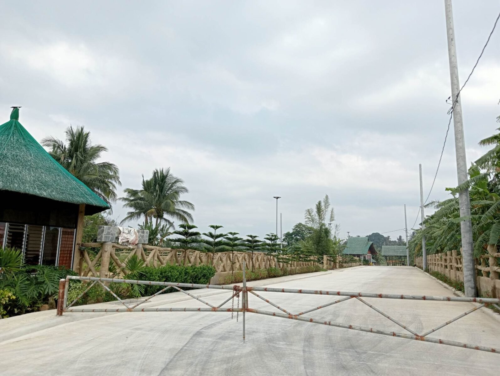 leticia 3 – Copy – Copy – Copy – Copy