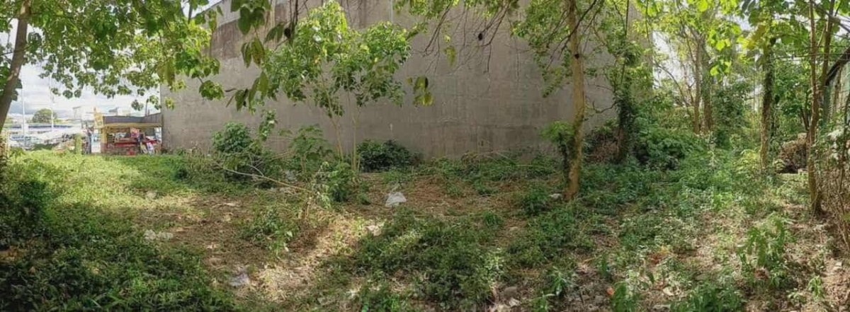 photo_2025-10-02 10.59.14 Commercial Lot For Rent in Tuguegarao Cagayan – 1,100 sqm