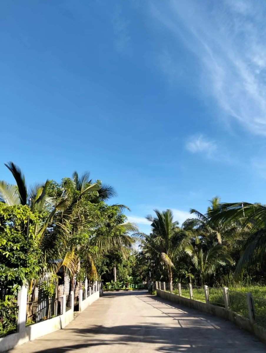 fh-going-to-main-entrace-copy-copy-copy