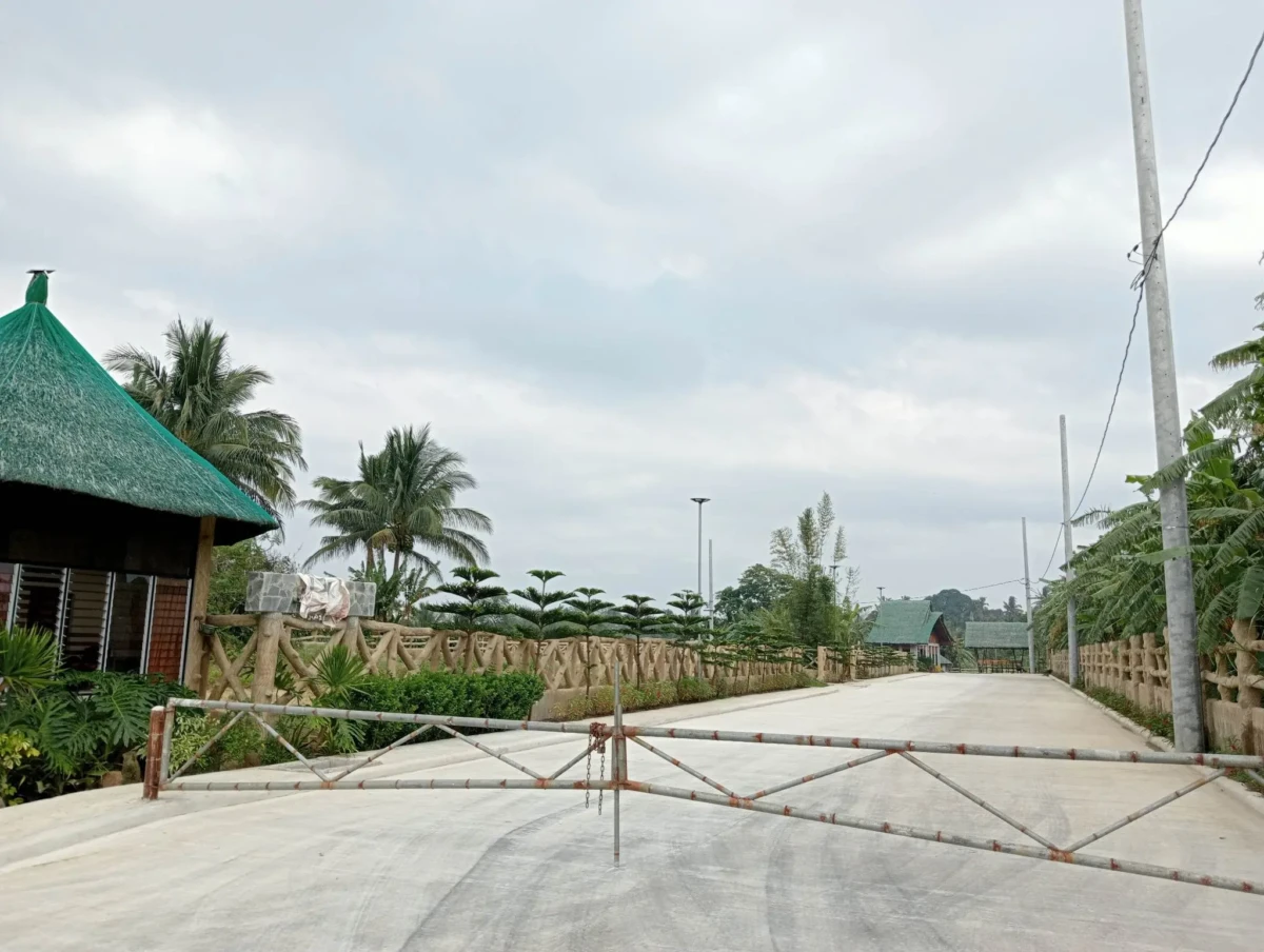 leticia-3-copy-copy-copy