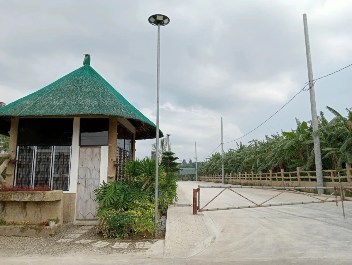 leticia-5-copy-copy-copy