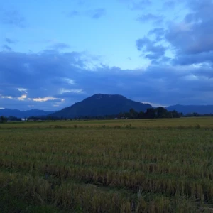 mindanaoproperties