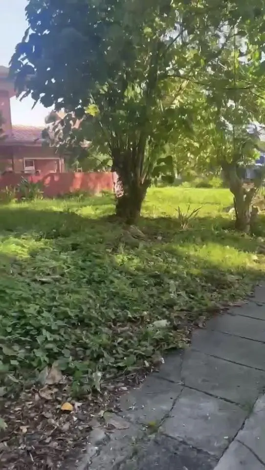 646338114_1373450788135587_2314265671283254323_n