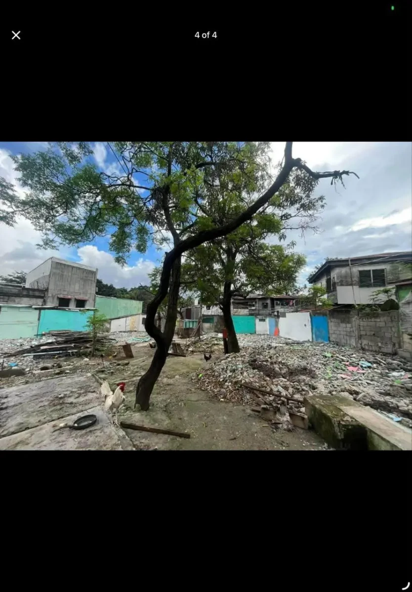 photo_2026-03-16_17-00-29