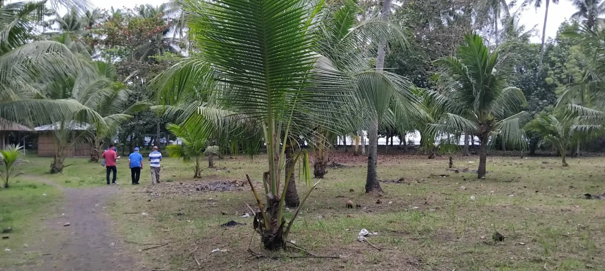 received_1412882983454911