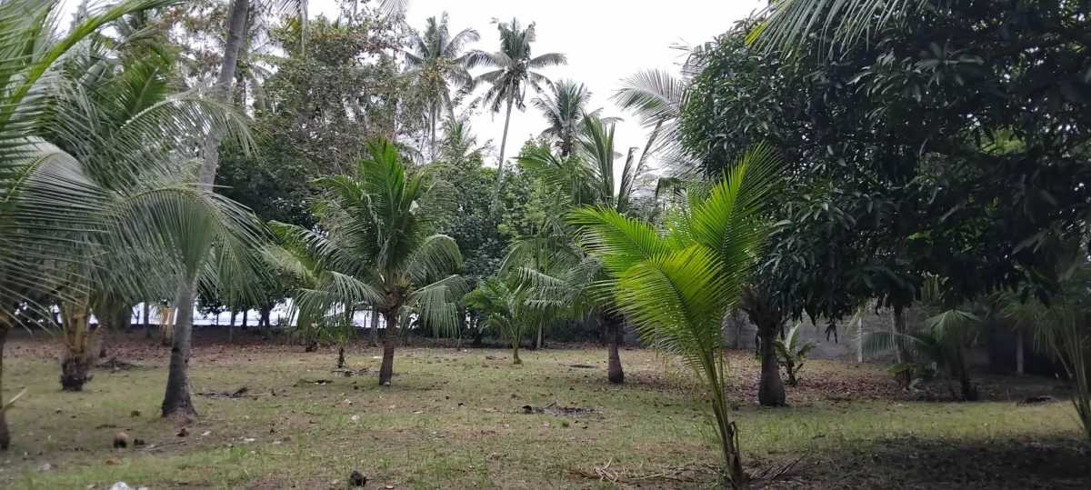 received_1461841302143913