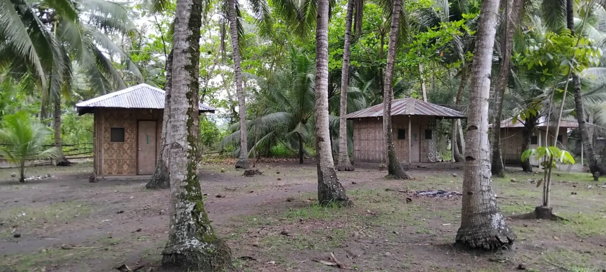 received_1664822211178138