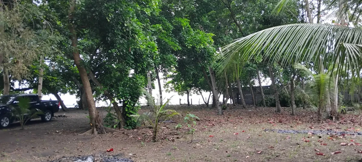 received_937638942179561