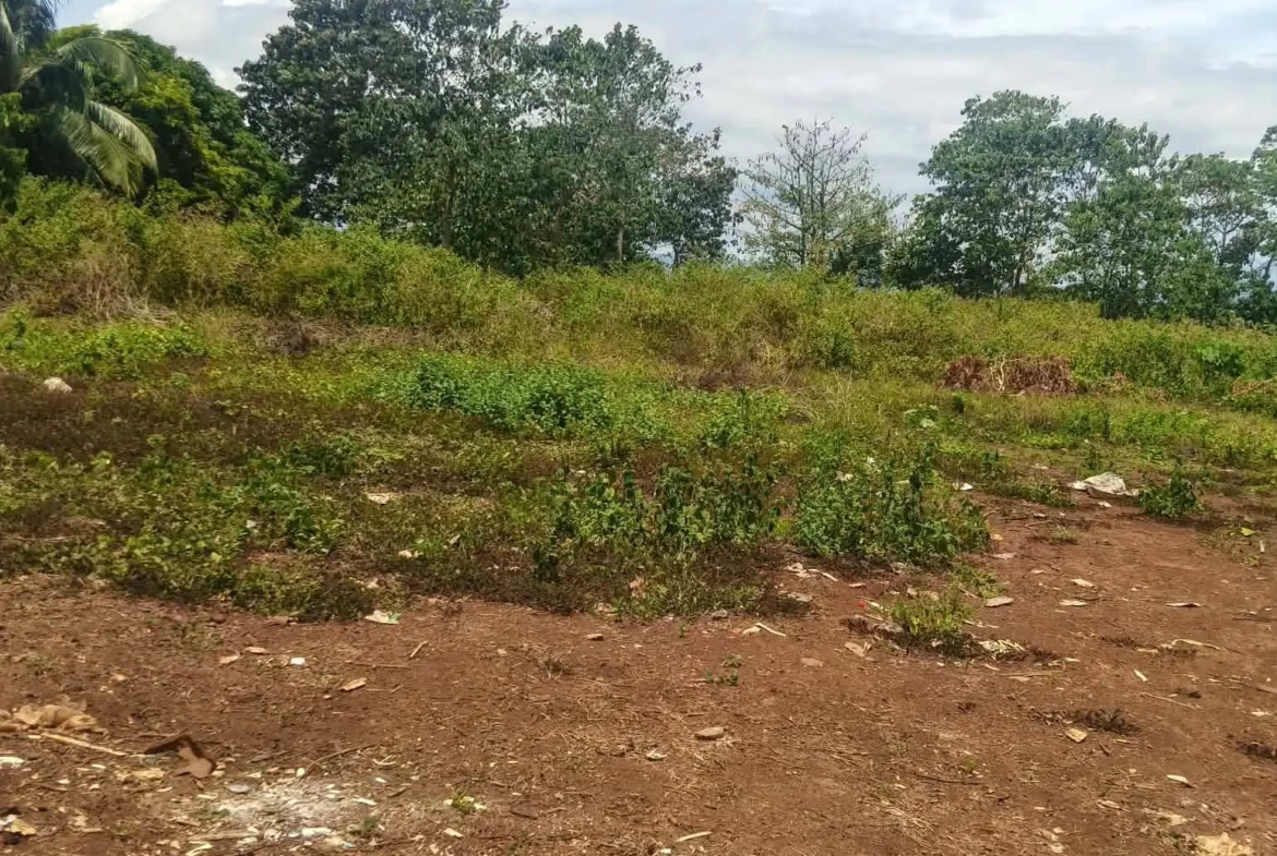 Land for sale
