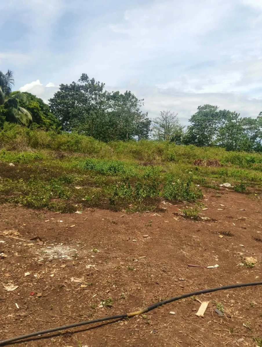 Land for sale