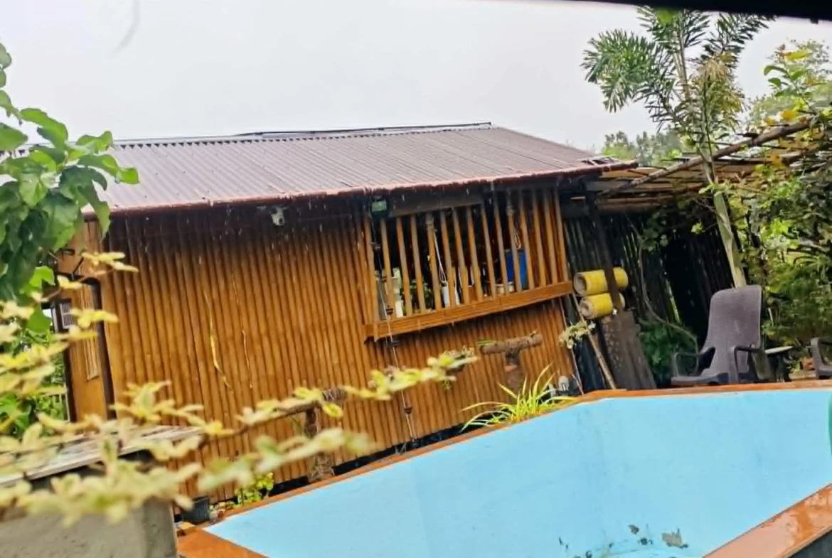 PROPERTY FOR SALE NEAR ILOILO CITY