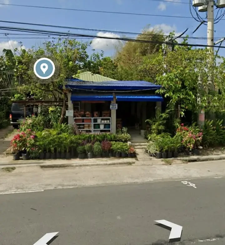 500sqm lot at Bay Laguna
