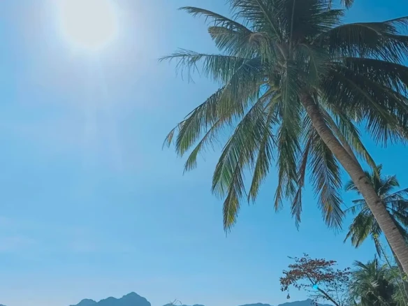 test 321