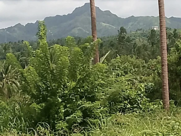 Mount Batulao view lot for sale