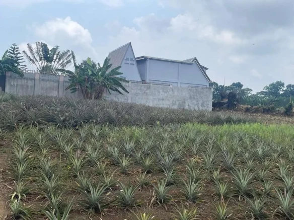 Lot for Sale in Tagaytay City