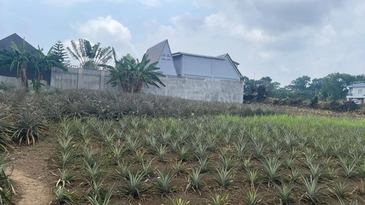 tagaytay-residential-lot Lot for Sale in Tagaytay City